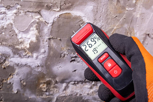 Best Commercial Mold Remediation in River Falls, WI